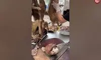 ویدئو چندش‌آور از فروش کله پاچه سگ در چین