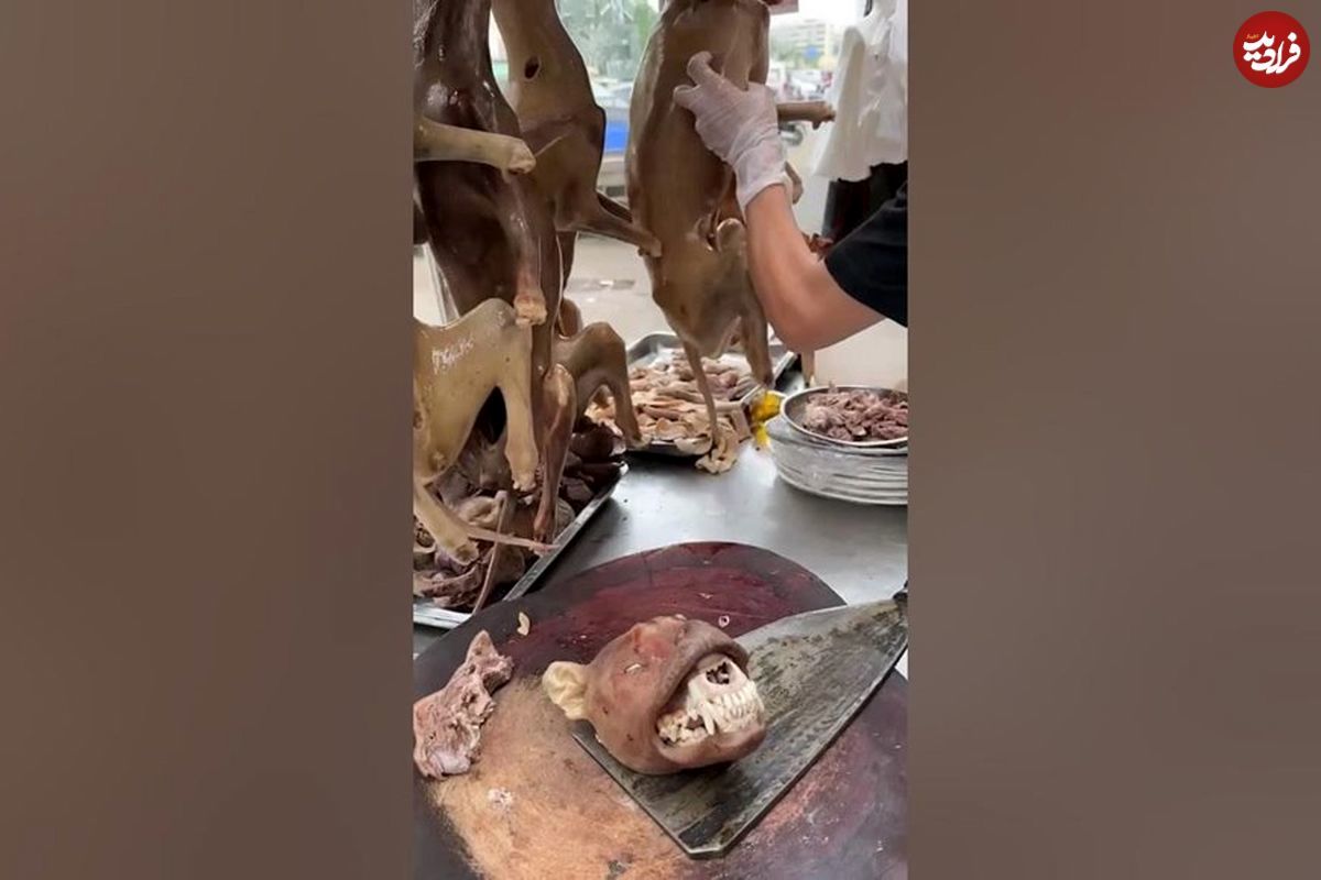 ویدئو چندش‌آور از فروش کله پاچه سگ در چین