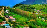 این کاسبی بعد از جنگ در شمال ایران رونق گرفت