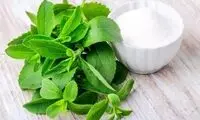این گیاه یک جایگزین سالم برای قند مصنوعی