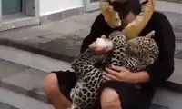 زندگی با ببر و پلنگ در یک خانه