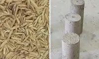 تبدیل ضایعات برنج با کمک هوش مصنوعی به بتُن