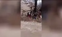 شرط تحصیل، گذشتن از این رودخانه پرآب است!