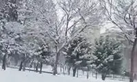 ساکت، مهیب و اسرارآمیز مثل برف امروز کرمانشاه