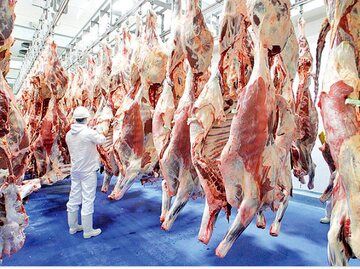 قیمت جدید هر کیلو گوشت گوساله اعلام شد