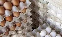 قیمت جدید تخم‌مرغ اعلام شد