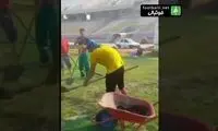 شیوه عجیب ترمیم چمن ورزشگاه غدیر اهواز