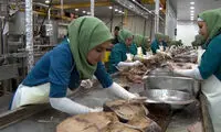 سقف قیمت تن‌ماهی مشخص شد