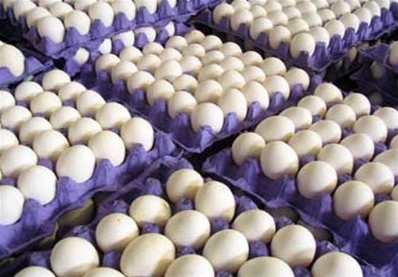 قیمت هر شانه تخم مرغ در بازار 