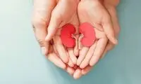 ۱۰ خوراکی عالی برای سلامت کلیه‌ها