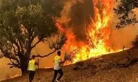 آتش‌سوزی در کوه‌های اطراف دریاچه مهارلو