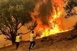 آتش‌سوزی در کوه‌های اطراف دریاچه مهارلو