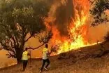 آتش‌سوزی در کوه‌های اطراف دریاچه مهارلو