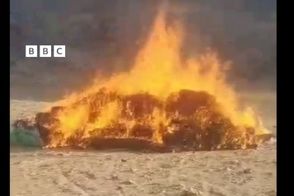 آتش‌زدن بیش از دو هزار کیلو موی زنان به دستور رهبر طالبان