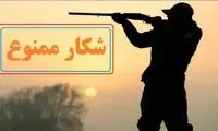 ایجاد یک منطقه شکار ممنوع جدید در اطراف تهران 