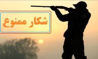 ایجاد یک منطقه شکار ممنوع جدید در اطراف تهران 