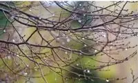 زمان رگبار پراکنده در تهران