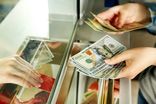 تبدیل دلار گردشگران به کارت ریالی در فرودگاه‌ها