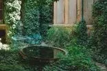 عمارتی تماشایی در شیراز که «خانه سبز» نام گرفت