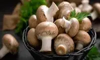خواص شگفت‌انگیز قارچ که از آن خبر ندارید