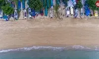 کشف جانوری با ۹۶ بازو که می‌تواند خودش را «پشت و رو» کند