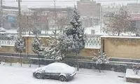 ویدئویی از بارش برف شدید و کولاک در سقز