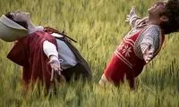 توقیف «غریزه» در قم ادامه دارد