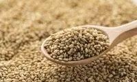 با مصرف این دانه استخوان خود را تقویت کنید 