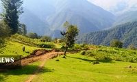 کشف جاده غیرمجاز ۸ کیلومتری در جنگل‌های گیلان