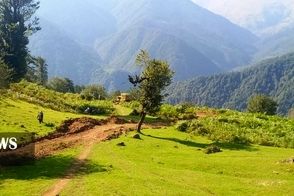 کشف جاده غیرمجاز ۸ کیلومتری در جنگل‌های گیلان