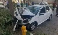 مچاله شدن خودرو ۲۰۷ بعد از برخورد با درخت!