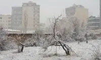فردا و پس‌فردا در کدام مناطق برف و باران می‌بارد؟
