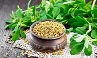 از خواص دمنوش شنبلیله چه می‌دانید؟