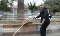 طوفان گلستان را درنوردید