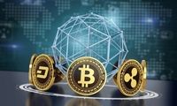6 تا از بهترین سایت های خرید ارز دیجیتال در ایران