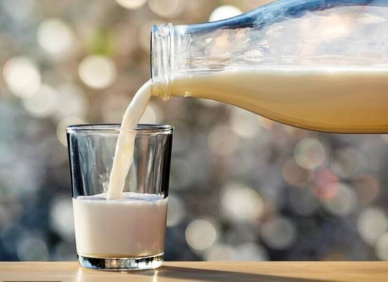 شیر غیرپاستوریزه را چگونه مصرف کنیم تا تب مالت نگیریم؟