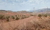 زمین‌خواری ۳۰ هزار متری در غرب تهران فاش شد