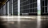 ایران یک تبعه اتریشی را آزاد کرد