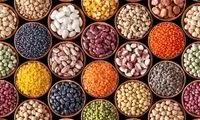 قیمت لوبیا و عدس دوباره افزایش پیدا کرد