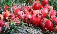 ۱۲ خاصیت بی‌نظیر پوست انار که نمی‌دانستید