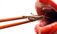 تصاویری از چندش‌‌آورترین غذا‌های جهان!