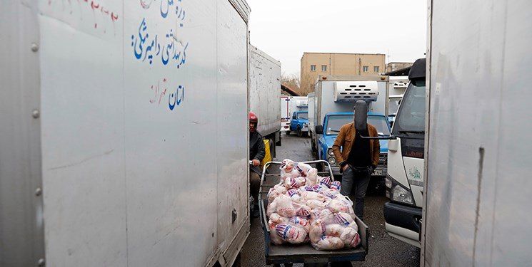 خریدوفروش عجیب مرغ در کوچه‌پس‌کوچه‌های تهران!