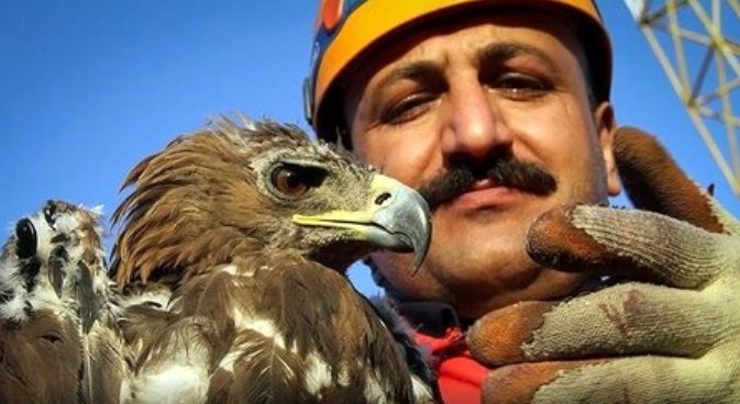 رهاسازیِ دو گونه عقاب از دست شکارچیان 