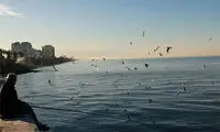 ساحل محبوب چالوس دیگر به دریا نمی‌رسد!