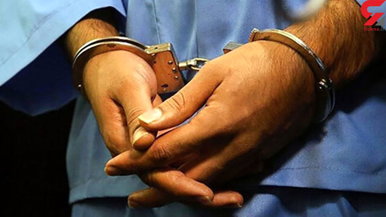  بازداشت دزدان حرفه‌ای در امین آباد