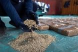 «کپتاگون» چیست و چرا باید از این مخدر ترسید؟
