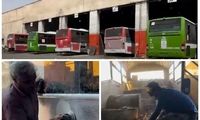 دستاورد جدید زاکانی؛ اتوبوس‌های رنگارنگ در راهند!