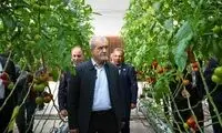دولت پزشکیان در چه شرایطی به پایان سال ۱۴۰۳ رسیده است؟