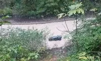 سقوط مرگبار خودروی معلم جوان به رودخانه