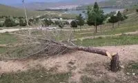 تصویر ماتم‌زده‌ای که از رشت وایرال شد